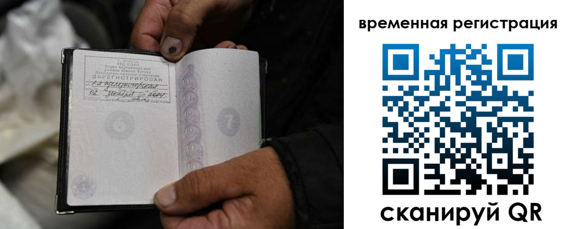 прописка поиск в Николаевске